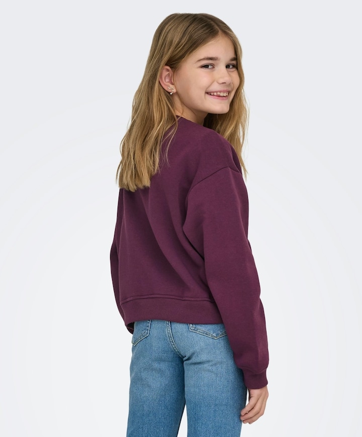 Sweater rood