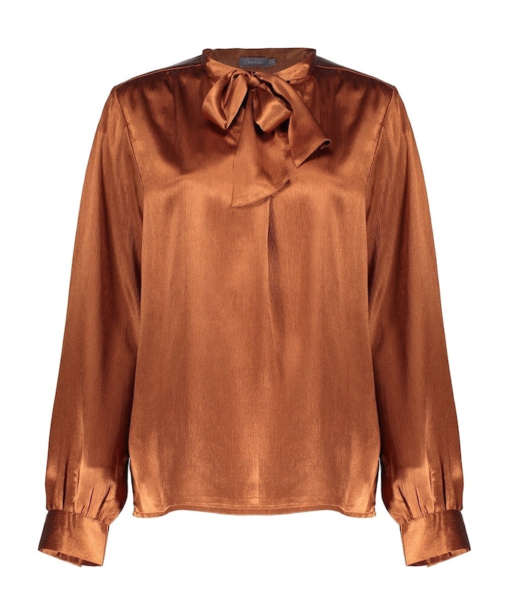 Dames blouse bruin