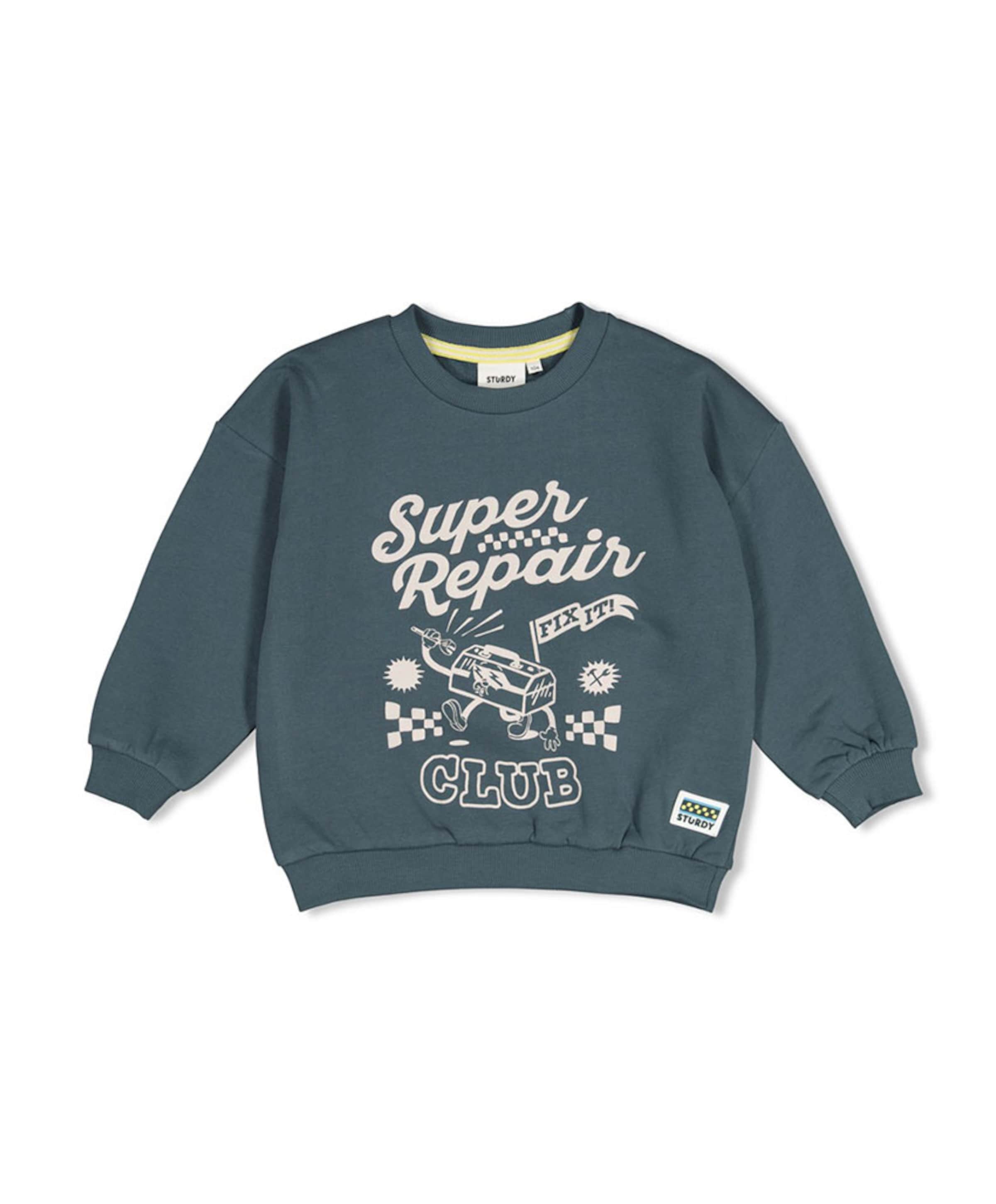 Jongens sweater blauw