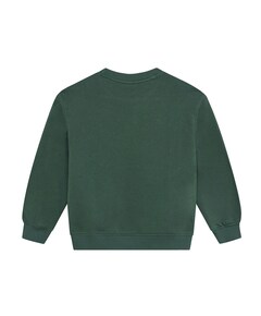 Jongens sweater groen