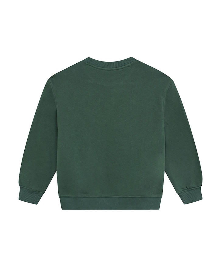 Jongens sweater groen