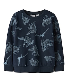 Jongens sweater blauw