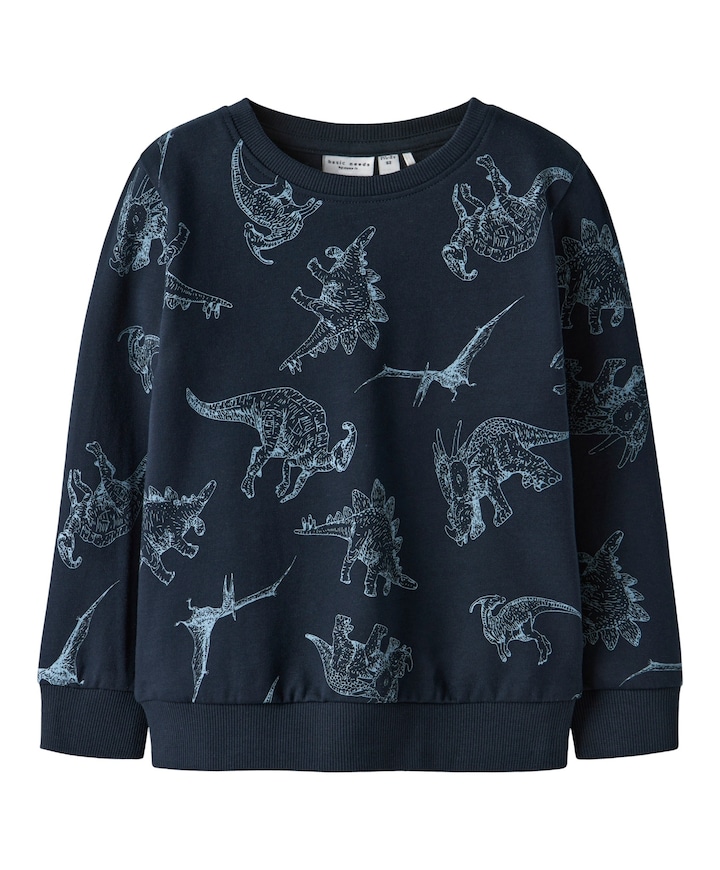 Jongens sweater blauw