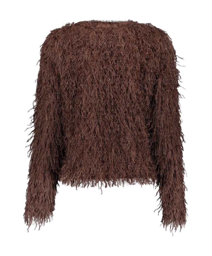 Dames vest bruin