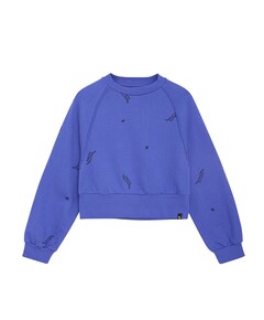 Sweater blauw