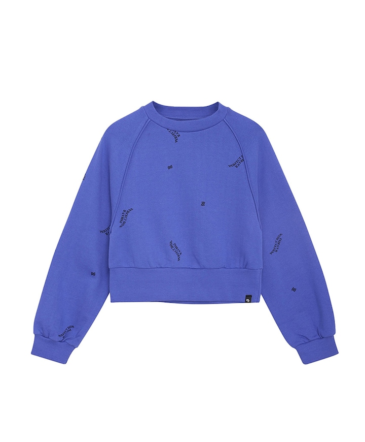 Sweater blauw