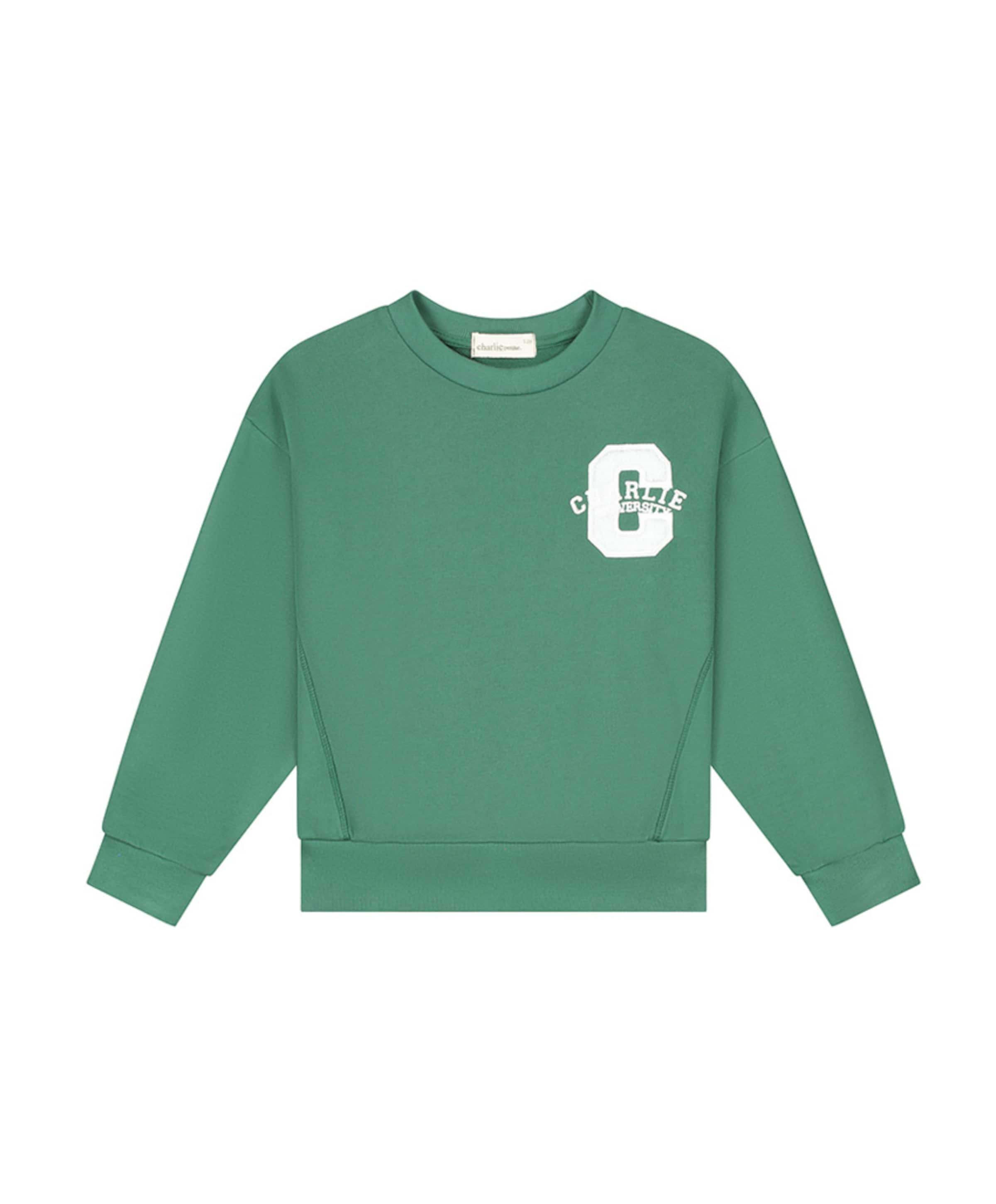 Jongens sweater groen