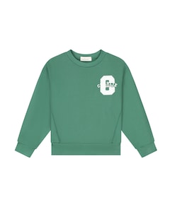 Jongens sweater groen