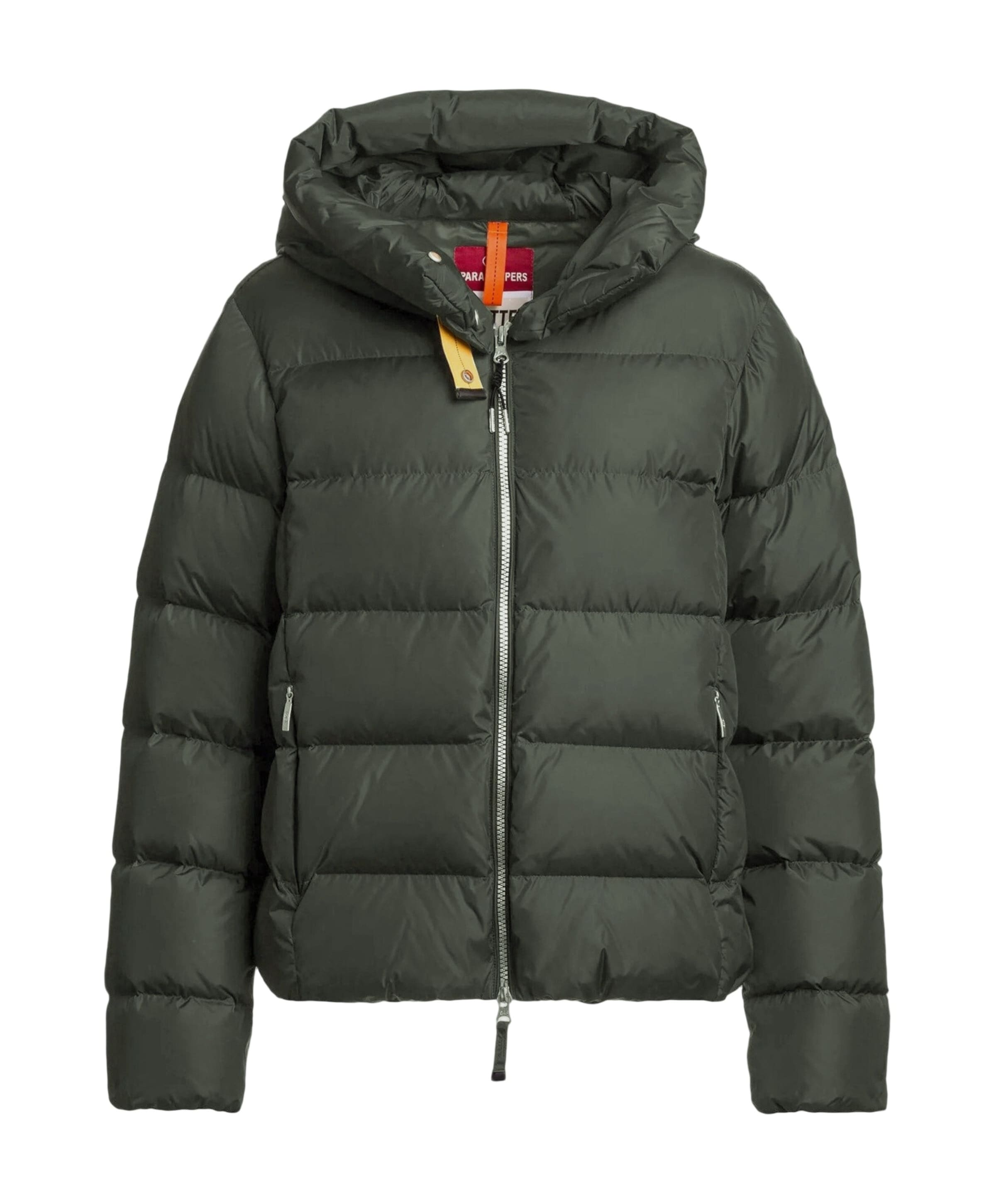 Dames jas groen