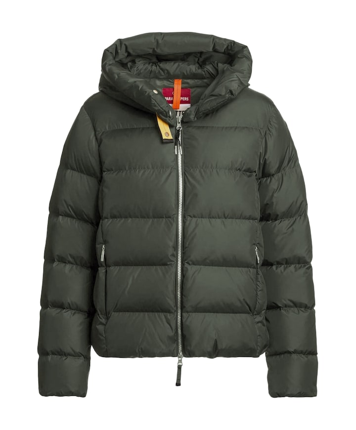 Dames jas groen