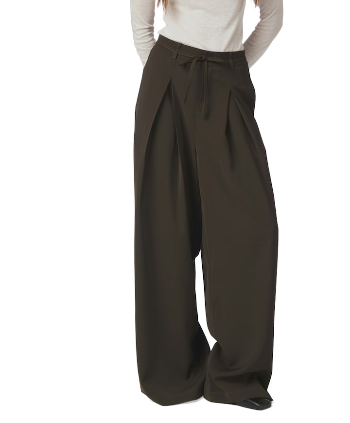 Eddina Woven dames broek bruin