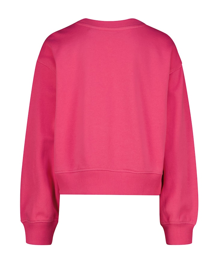 Meisjes sweater roze
