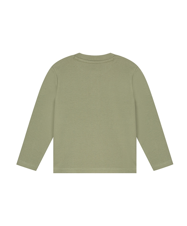 Jongens longsleeve groen