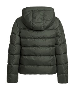 Dames jas groen