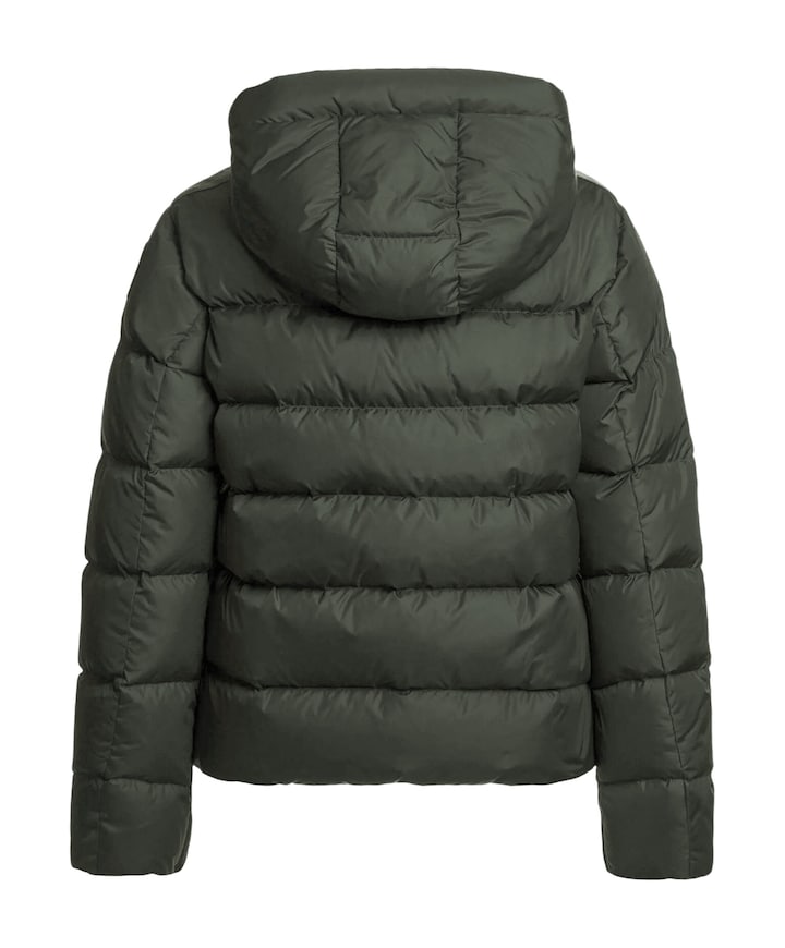 Dames jas groen