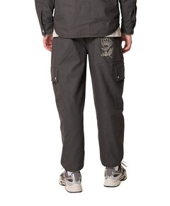 Ampere Willem Cargo pantalon grijs