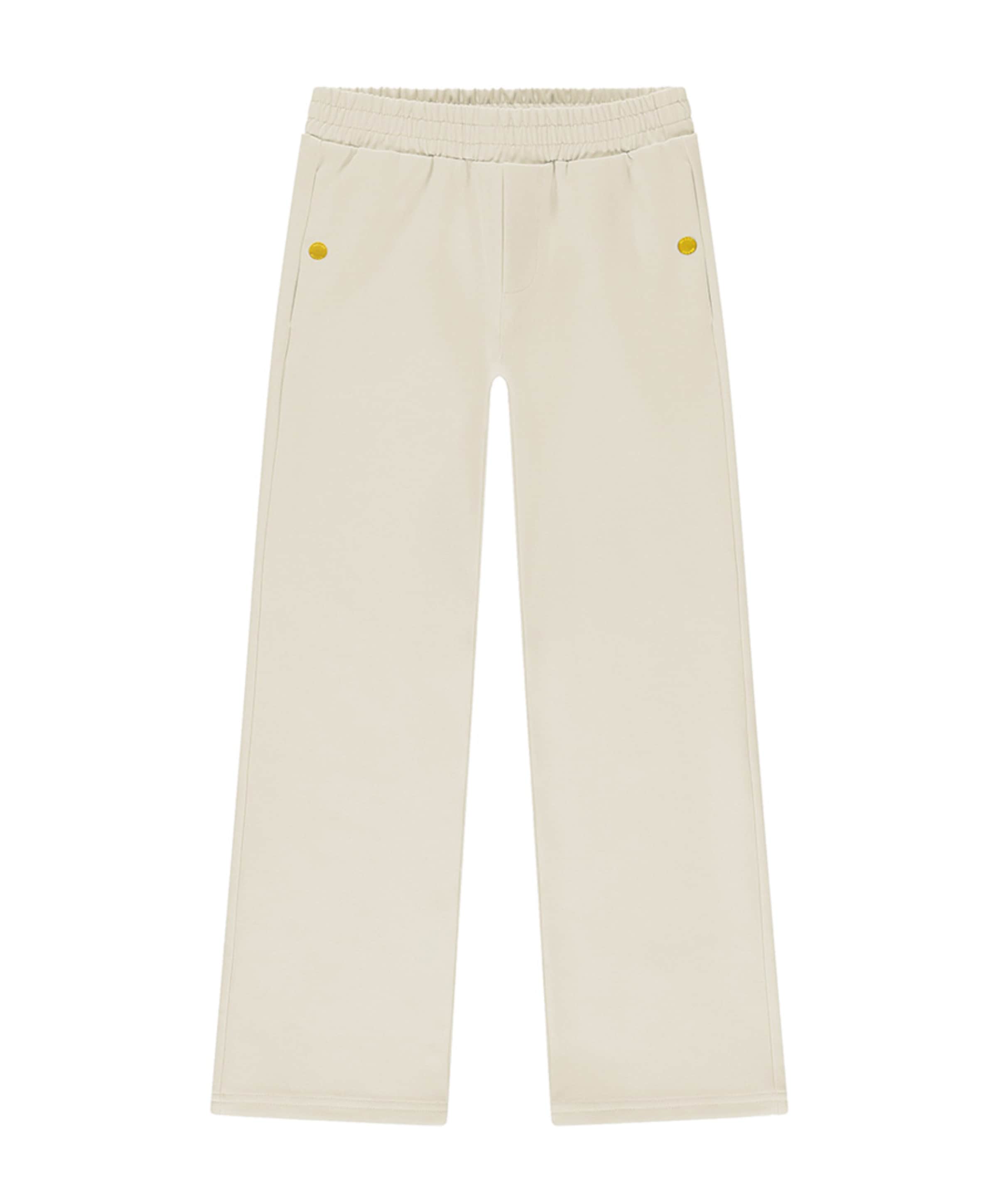 Eliza Pants broek beige