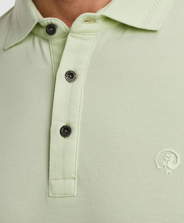 Polo groen