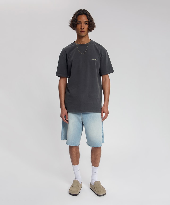 Heren T-shirt grijs