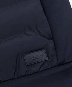 Heren bodywarmer blauw