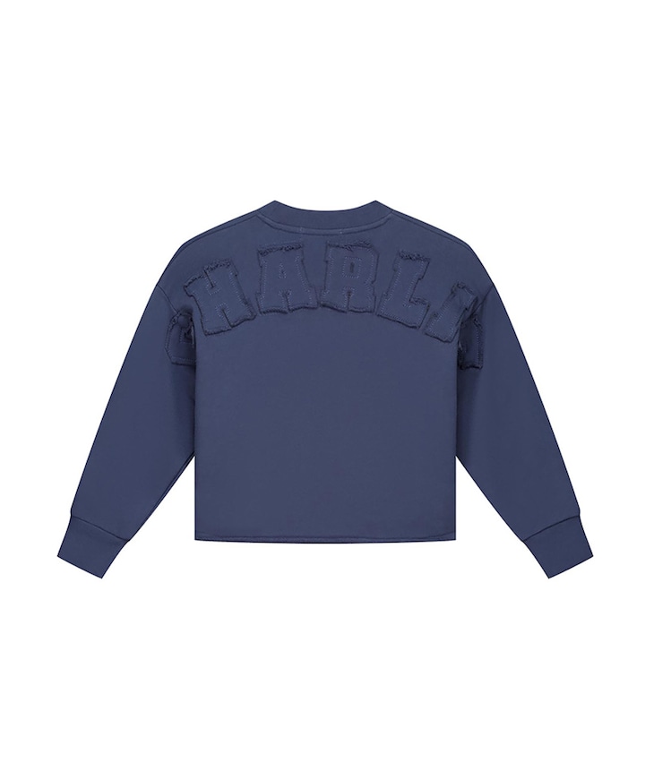Sweater blauw