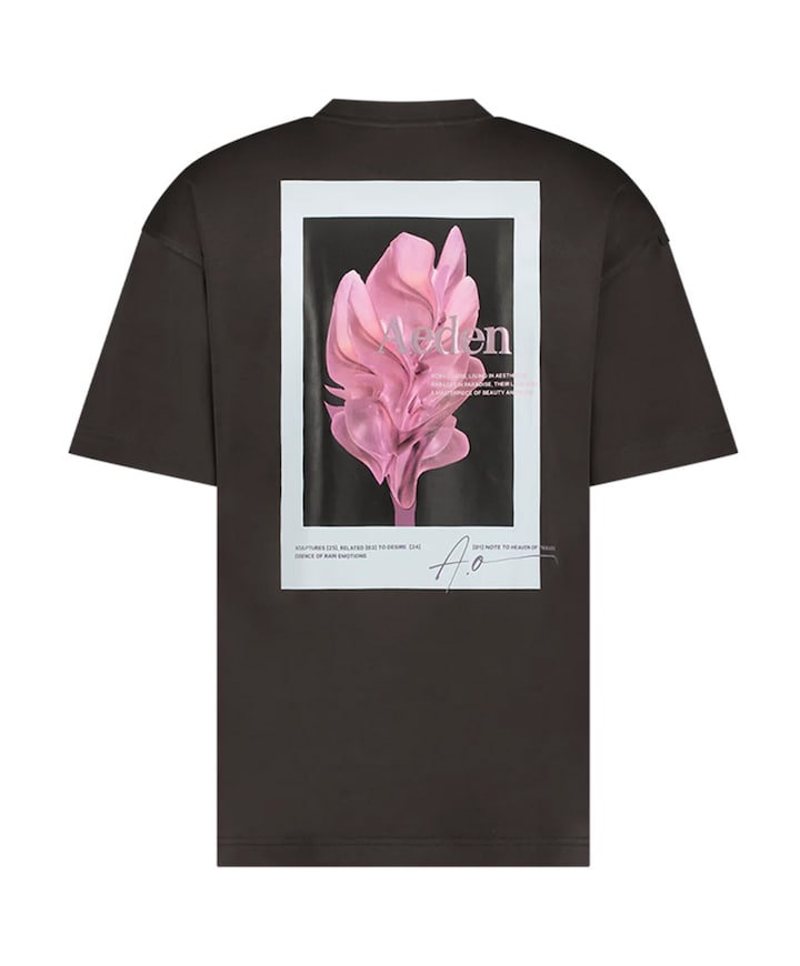 Heren T-shirt bruin
