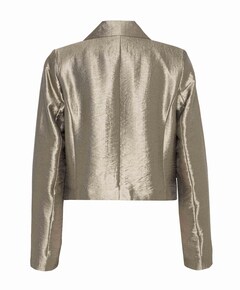 Blazer goud