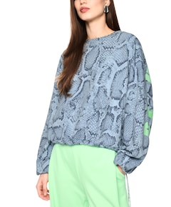 Dames sweater grijs